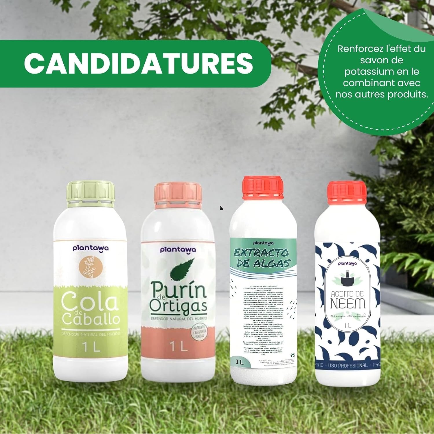 Detalle de PLANTAWA Savon Potassique 2L – Formule Naturelle Polyvalente pour Préparations Maison