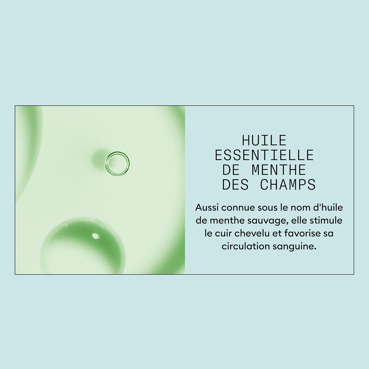 Thumbnail 4 de NIOXIN Scalp Recovery – Kit antipelliculaire, anti-démangeaisons (shampoing, après-shampoing, sérum apaisant, exfoliant)