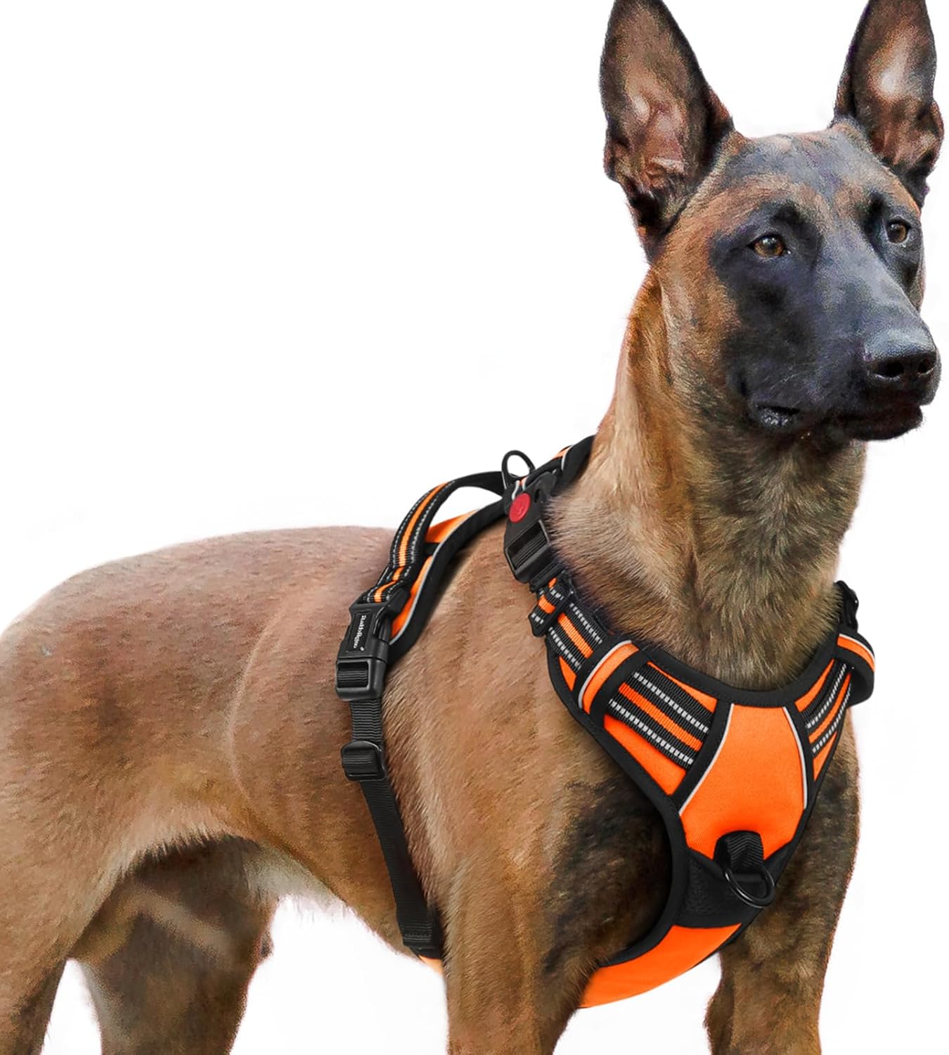 Detalle de rabbitgoo Hundegeschirr Anti-Zug Orange XL