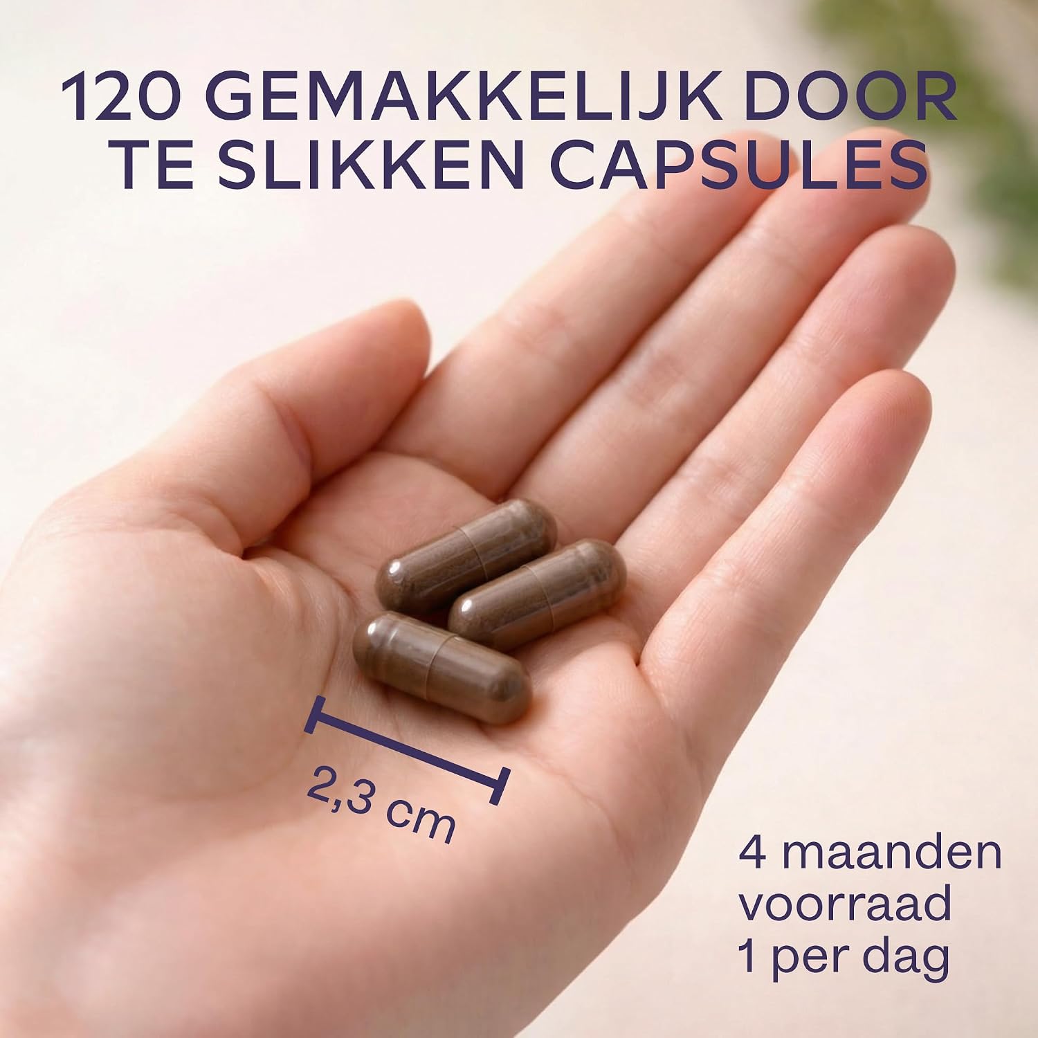 Thumbnail 6 de AAVALABS Pruikzwam supplement met 30:1-extract, zink, Reishi en Cordyceps
