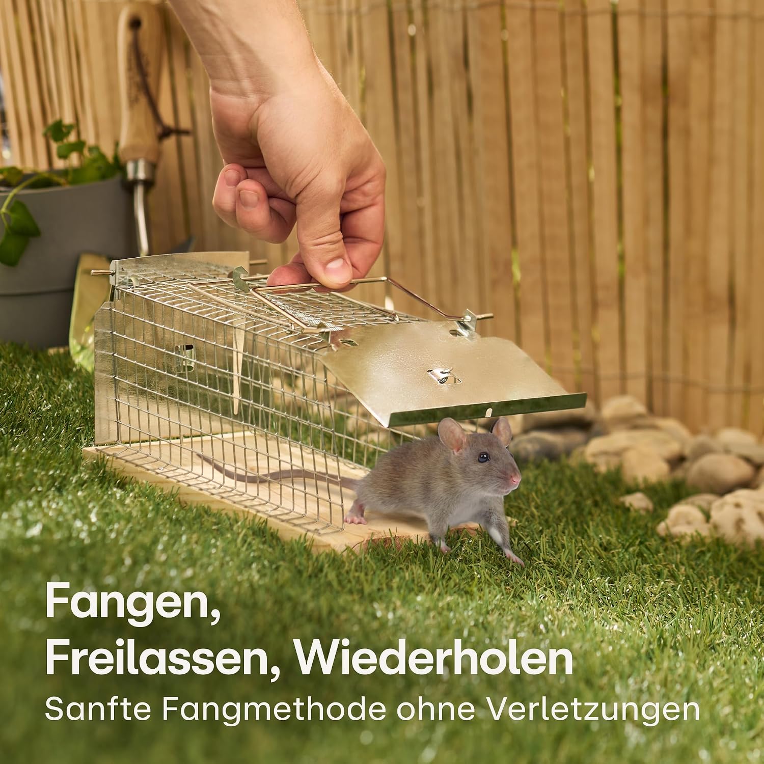 Thumbnail 3 de Praknu Lebendfalle für Ratten und Mäuse, 30 cm aus FSC®-Holz – wiederverwendbar & tierfreundlich