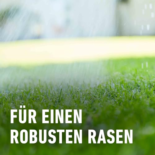 Thumbnail 5 de COMPO Rasendünger mit 3 Monaten Langzeitwirkung – Premium Langzeitdünger für 800 m²