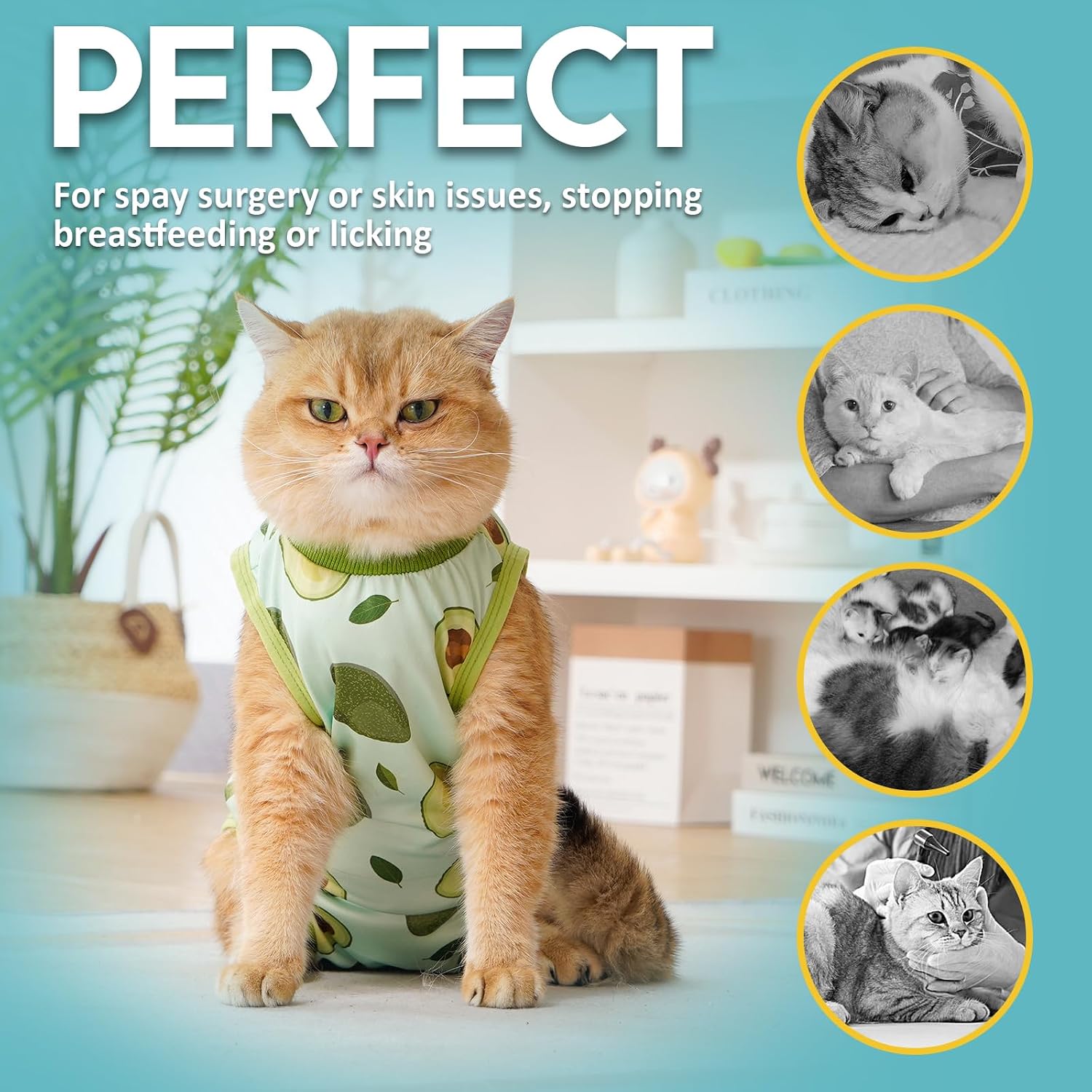 Detalle de Avont Katzenbody nach OP Erholungsanzug – Modal Recovery Suit für Katzen (S, Avocado)