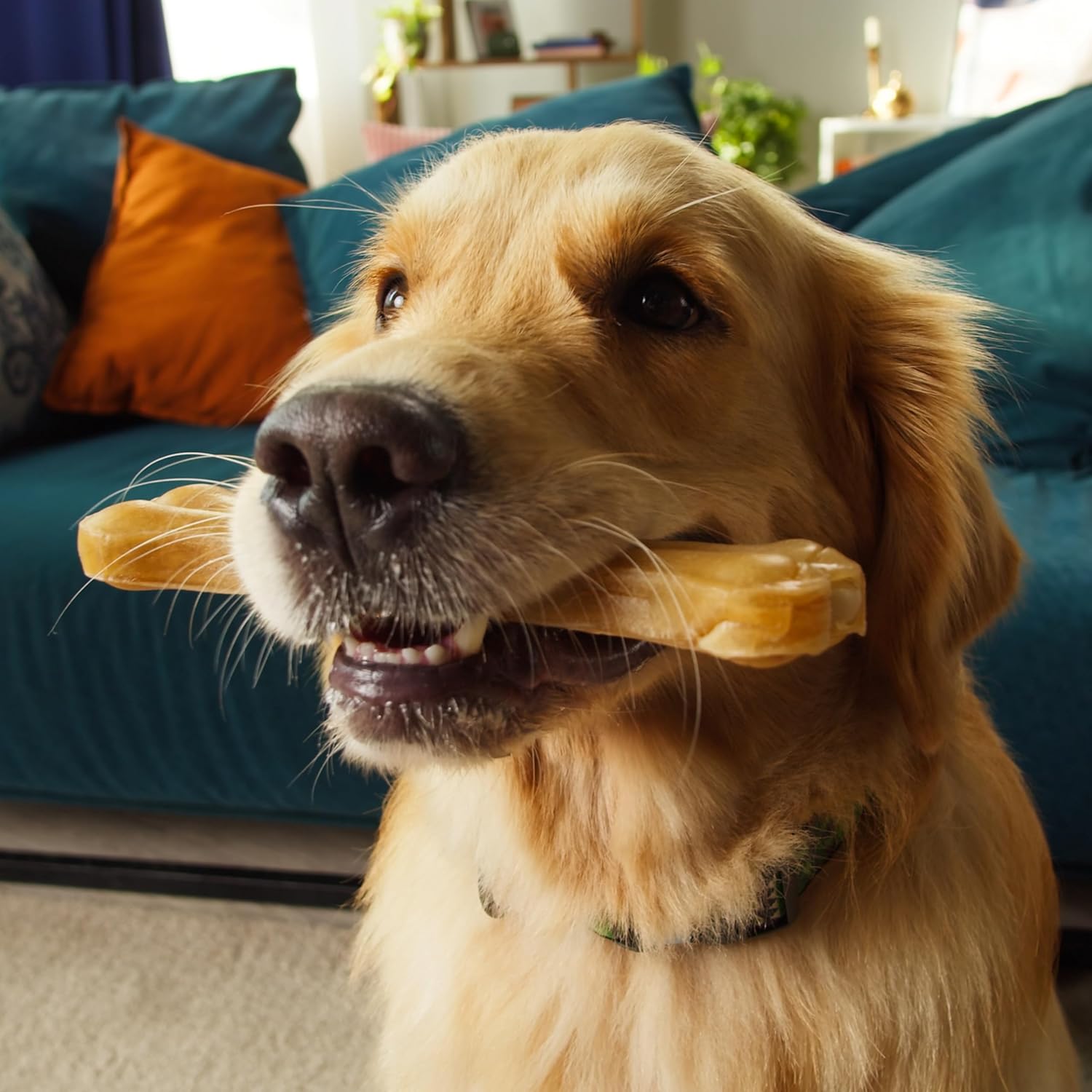 Thumbnail 3 de Croci King Bone 20 cm (190 g) – Kau- & Dentalstick aus natürlichem Rindsleder für freilaufende Hunde