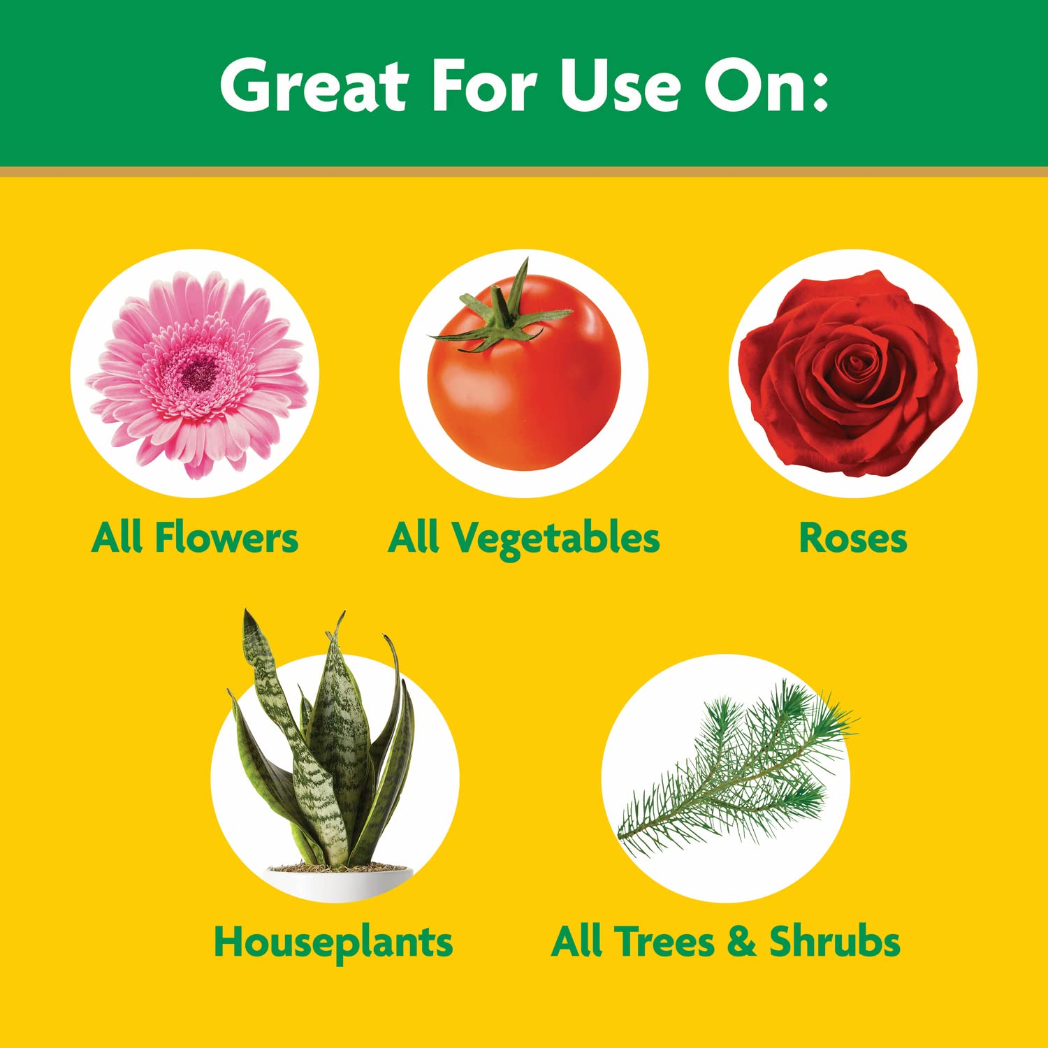 Detalle 1 de Miracle-Gro Water-Soluble Plant Food, 10 lb