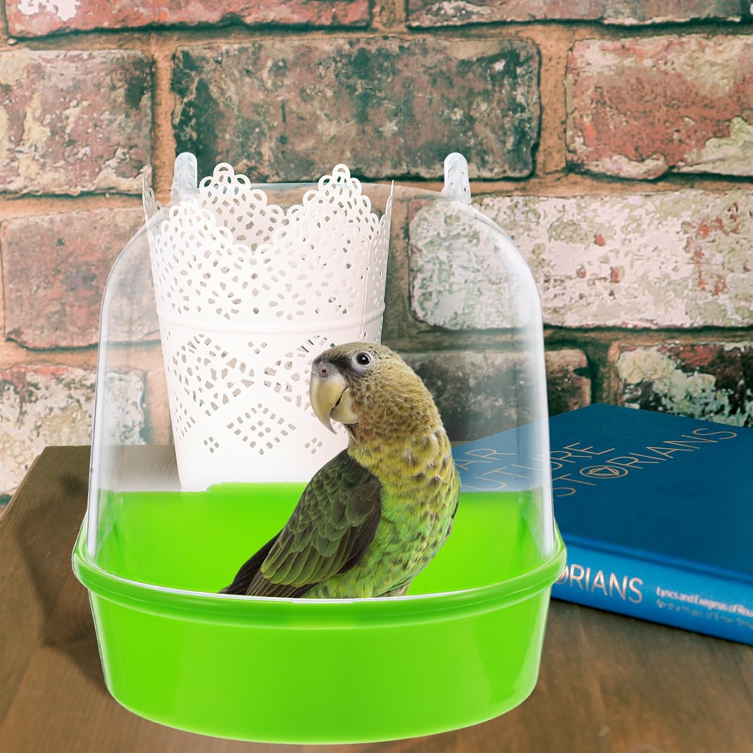 Detalle de ULTECHNOVO Parrot Cage Bath for Budgies 🐦