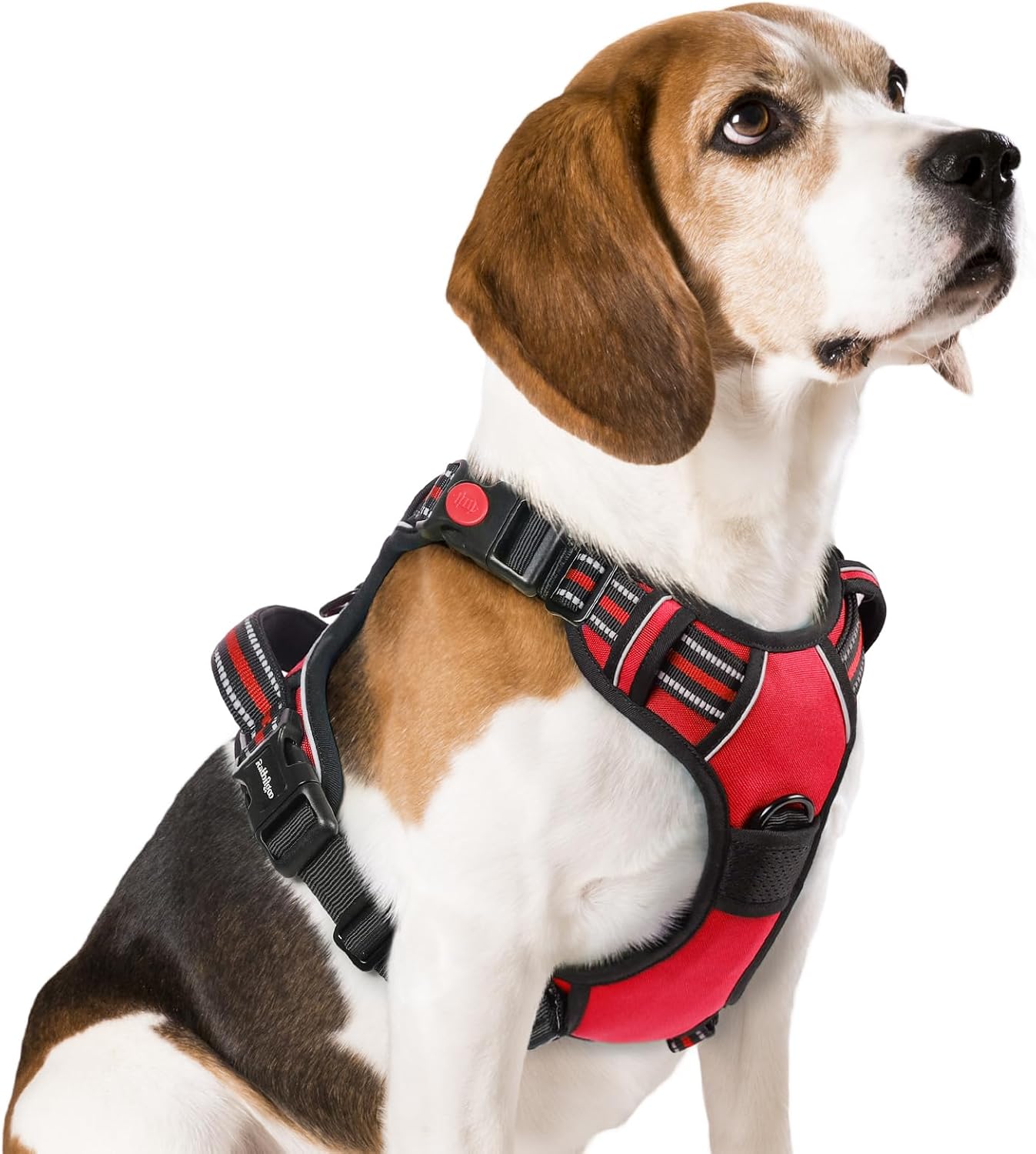 Detalle de rabbitgoo Harnais anti traction pour chien M