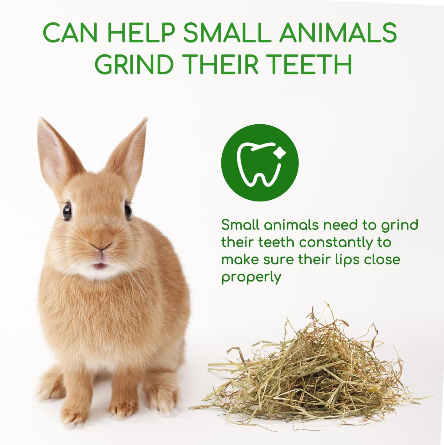 Thumbnail 4 de Nobleza Timothy Hay per conigli e roditori, 2,5 kg di fieno ricco di fibre