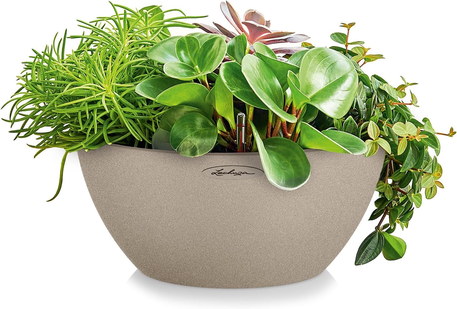 Thumbnail 1 de Lechuza CUBETO Color 30 Komplettset sandbeige