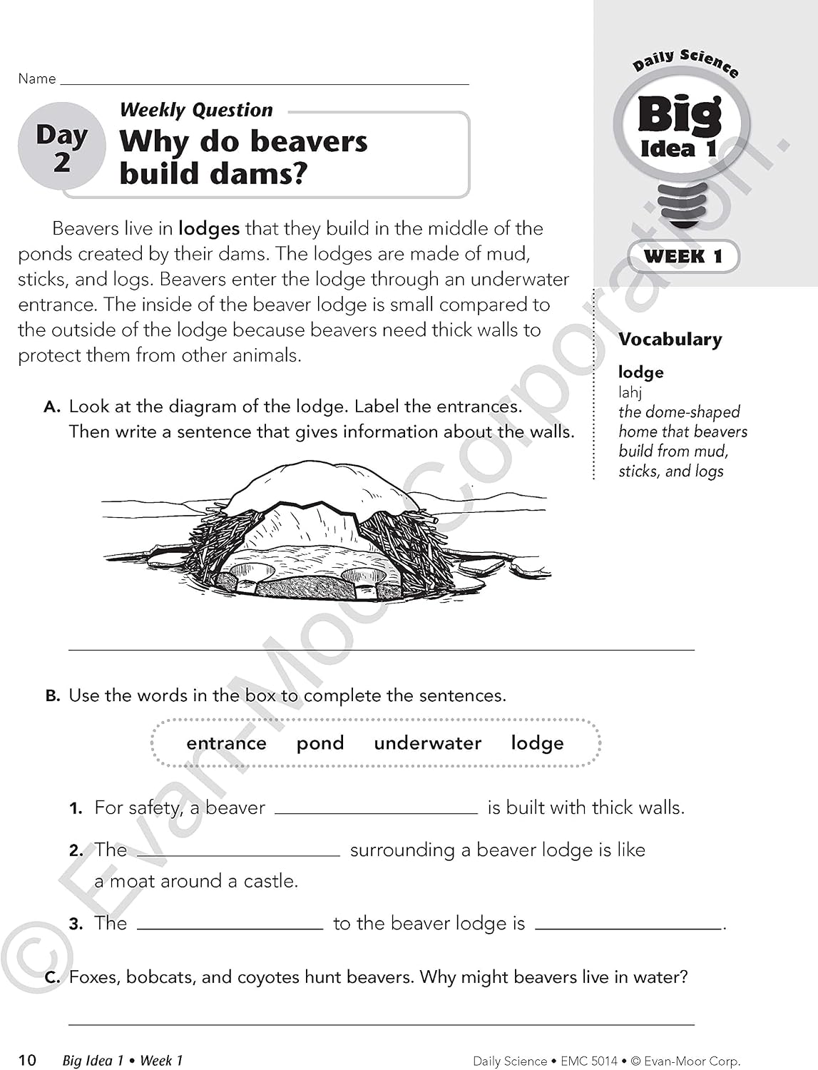Thumbnail 6 de Evan-Moor Daily Science Grade 4 Workbook