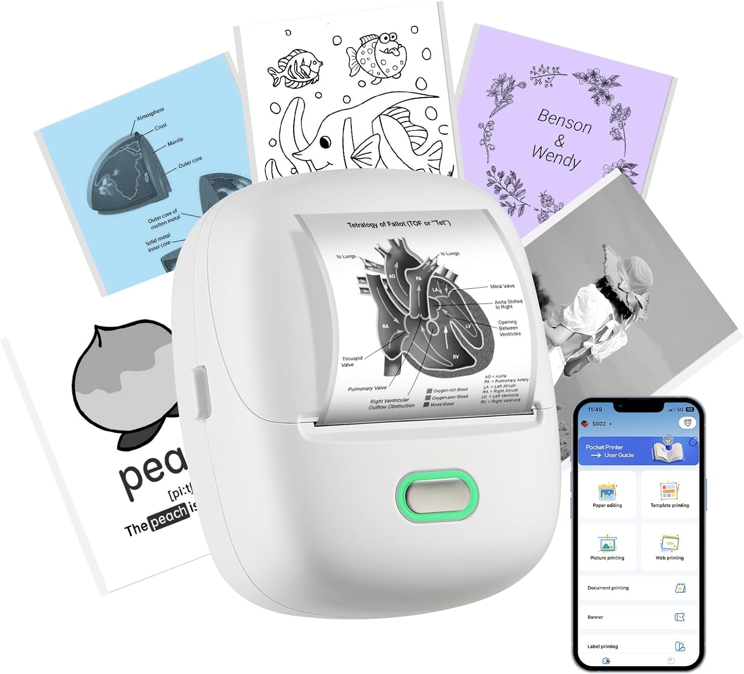 Detalle de ORGSTA Label Maker S002 300 DPI