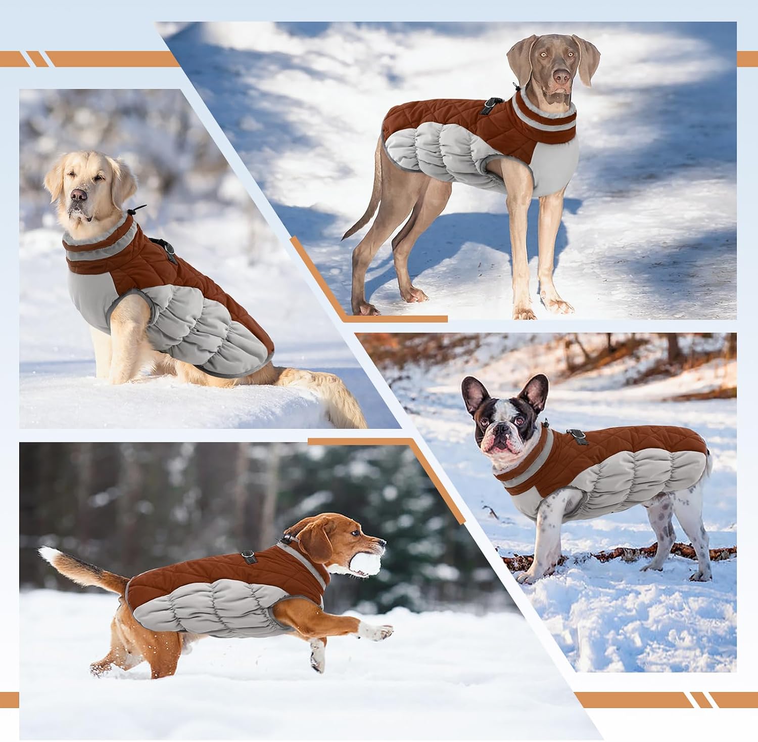 Thumbnail 6 de OUOBOB Dog Coat, Size L