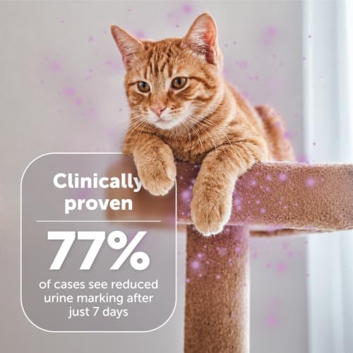 Detalle de Feliway Classic 30 Day Cat Calming Diffuser Starter Kit (48ml)