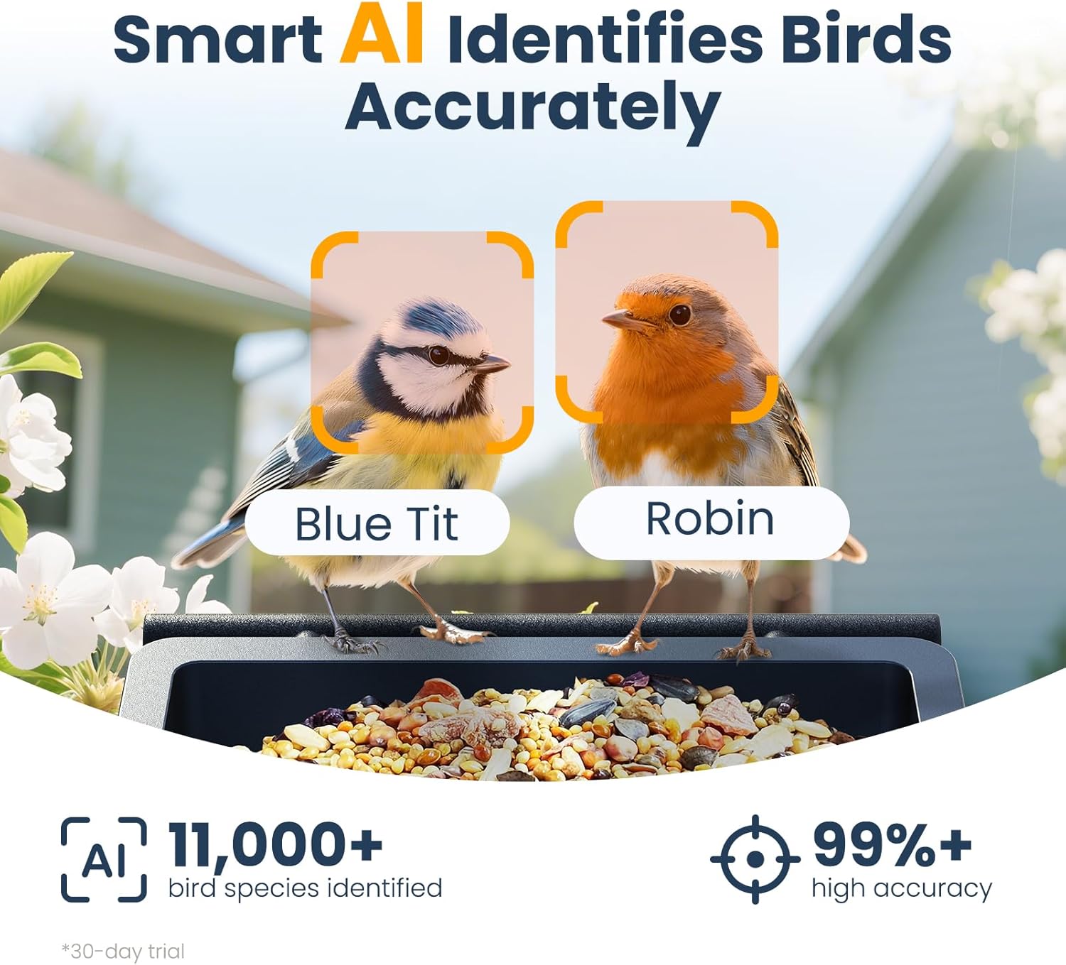 Detalle 2 de Smart Bird Feeder with Camera: 2.5K UHD, Solar-Powered, IP66 Steel Outdoor Kit