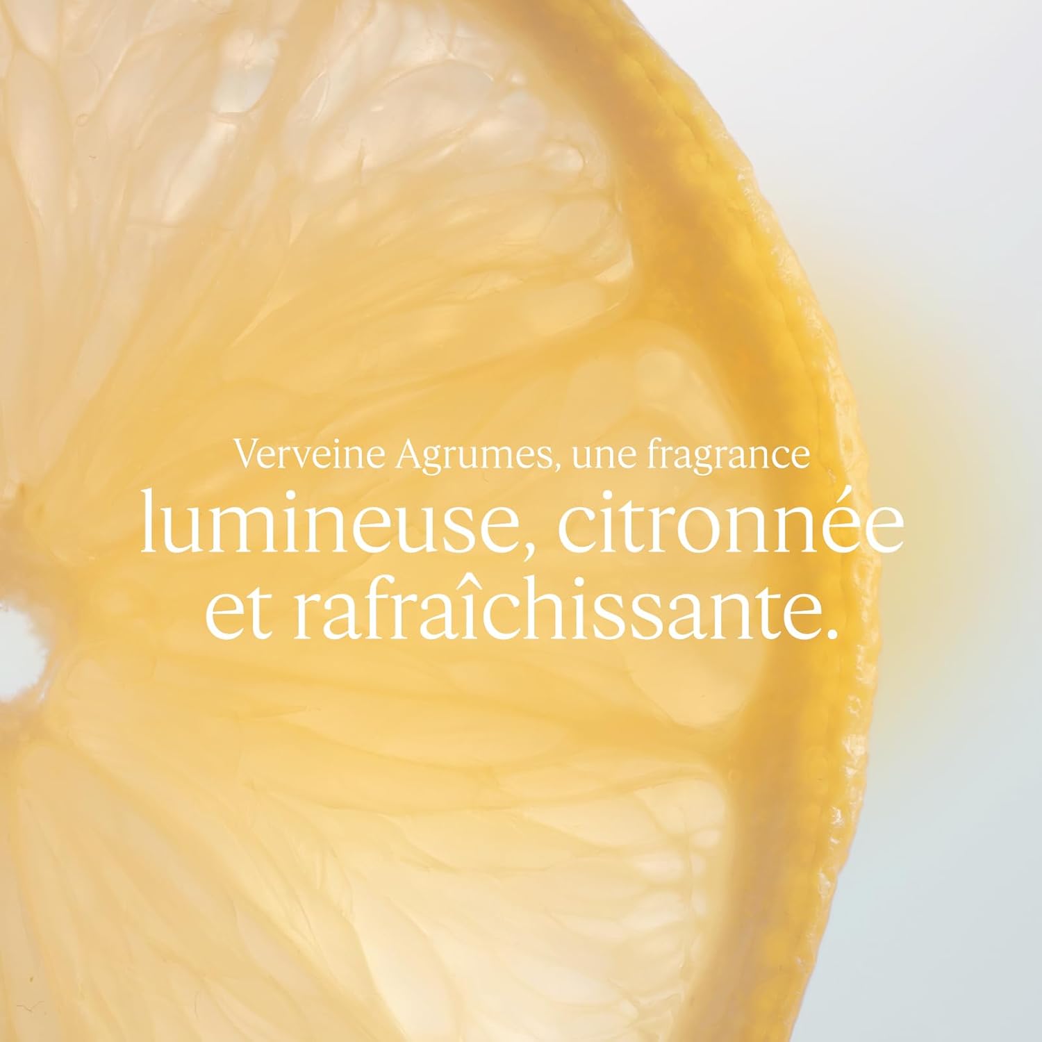 Detalle 2 de L'OCCITANE Eau de Toilette Verveine Agrumes – 100 ml | Fraîcheur citronnée made in France