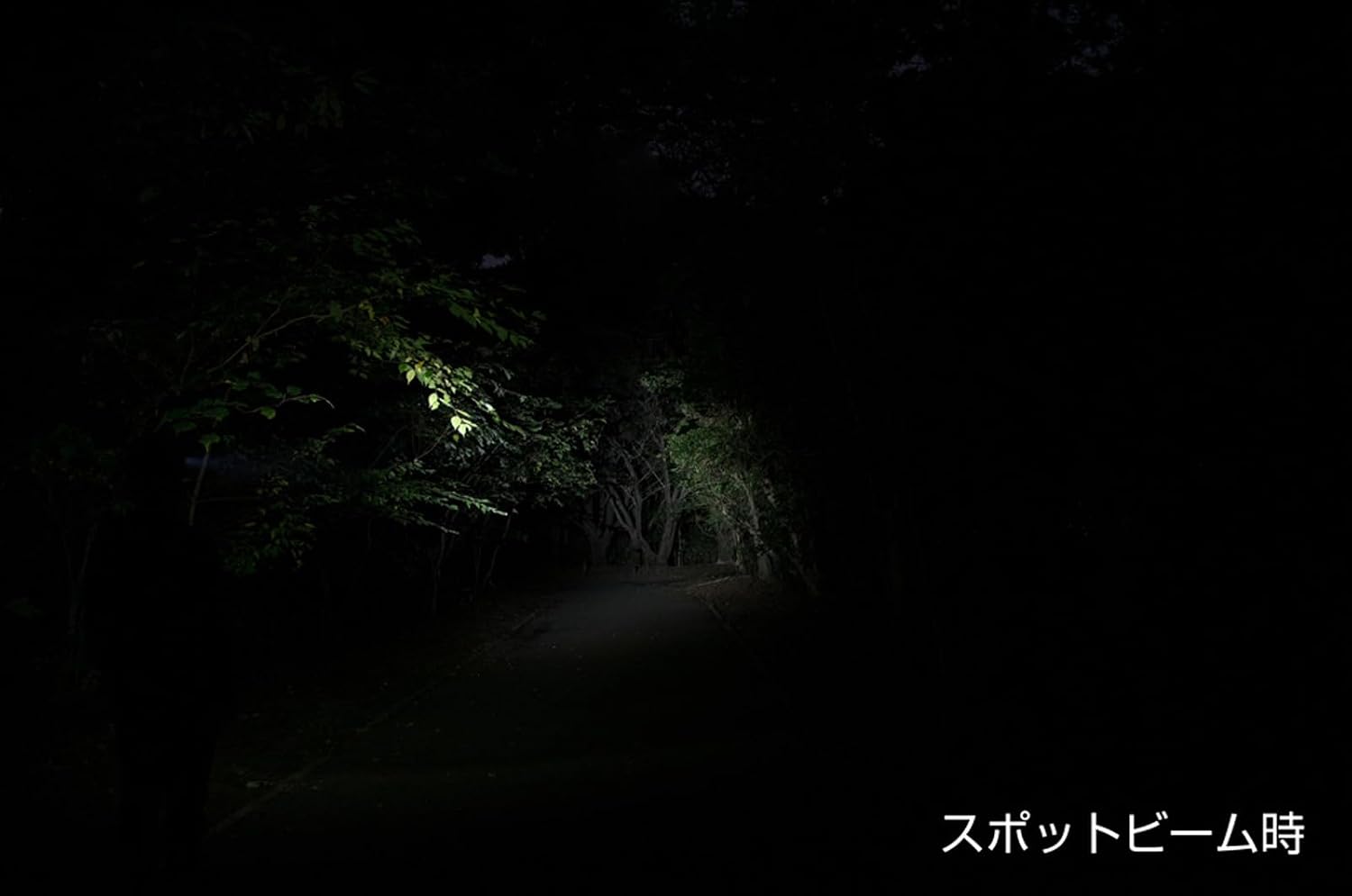 Detalle de GENTOS CP-131D LEDヘッドライト 120ルーメン・単3形/単4形電池対応