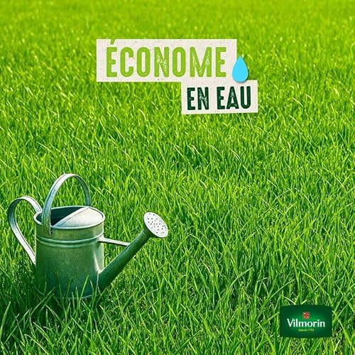 Detalle de Vilmorin Gazon Terrain Sec, Vert, 1 kg