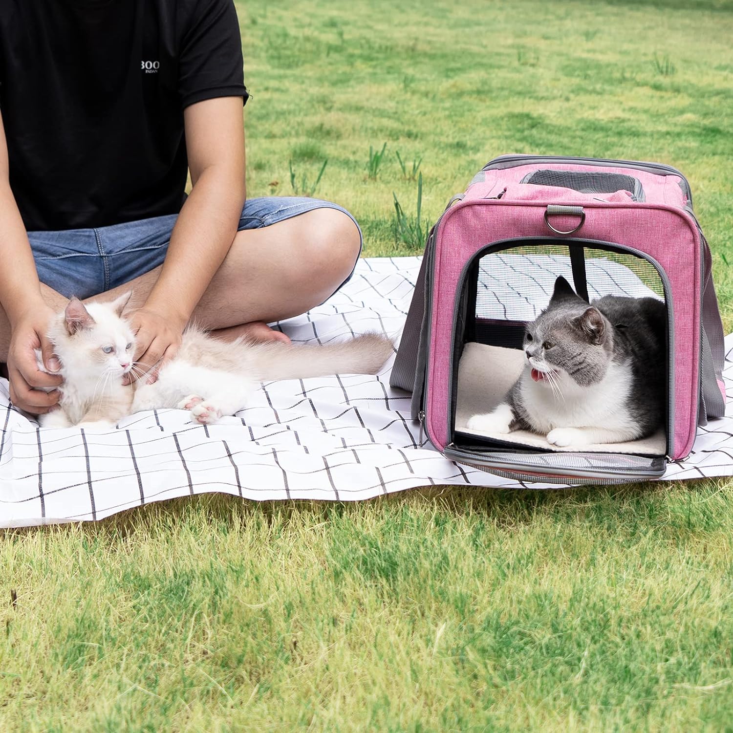 Thumbnail 5 de GAPZER Pet Carrier for Large Cats 🐱