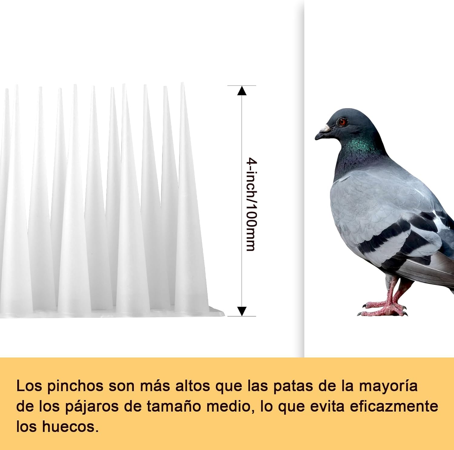 Detalle 2 de Offo Pinchos antipalomas 2,4 m