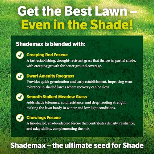 Detalle 2 de Shademax – Grass Seeds for Shady Areas (1kg) by EFA International