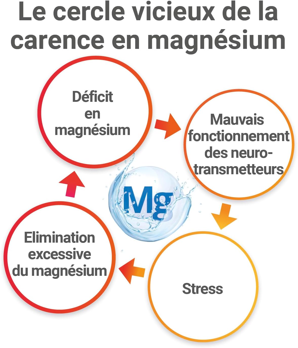 Thumbnail 6 de MAG 2-24H magnésium 100 comprimés 💊