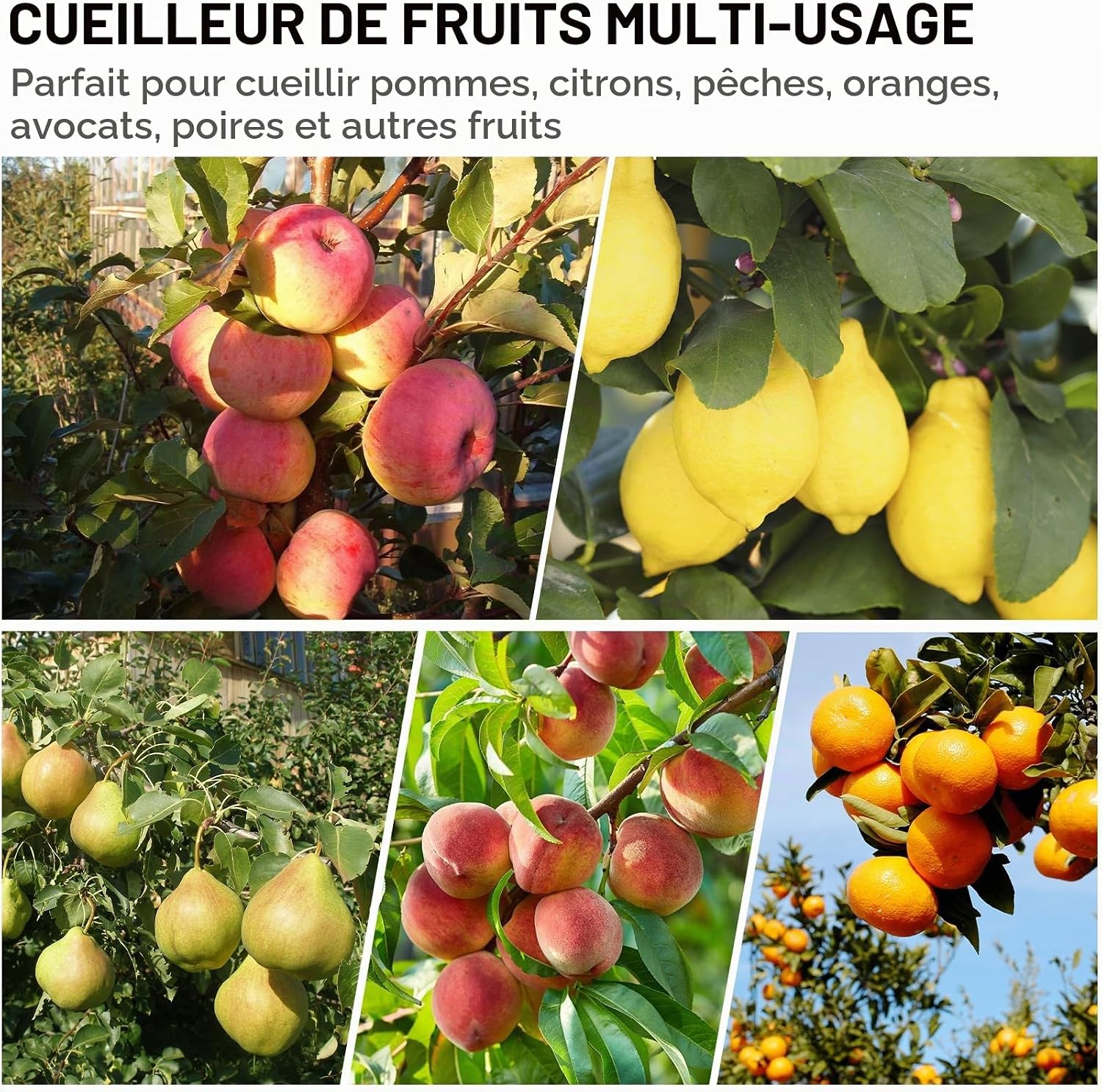 Detalle de DBREAKS YH-13661 fruitplukker met telescopische steel van 4,2 m
