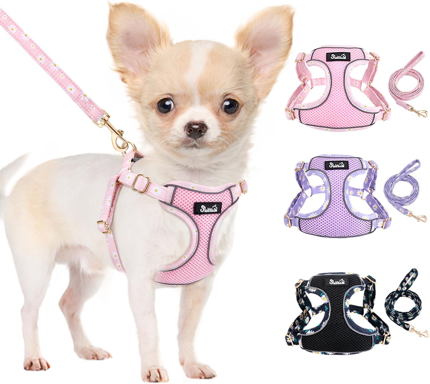 Eyein XXS Small Dog Harness and Lead Set – Breathable Soft Mesh, No-Pull, Step-In Vest for Extra Small Dogs