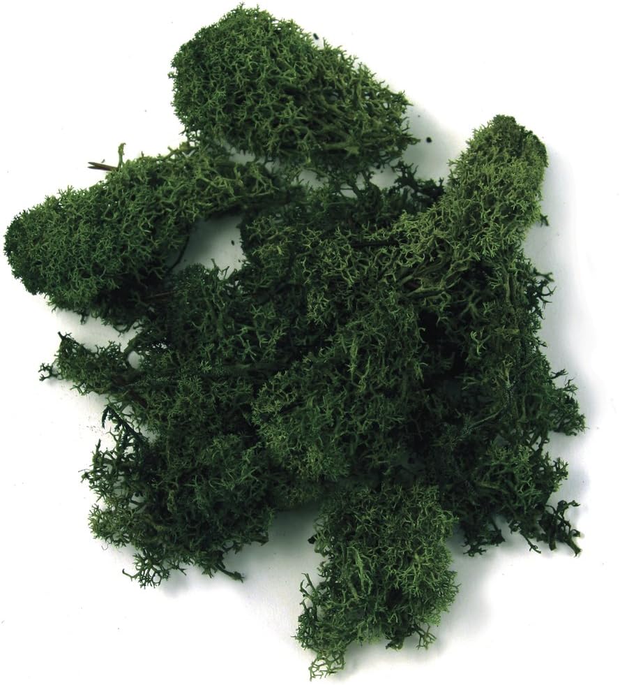Rayher 8500313 mech islandzki, ciemnozielony, naturalny, 1 kg
