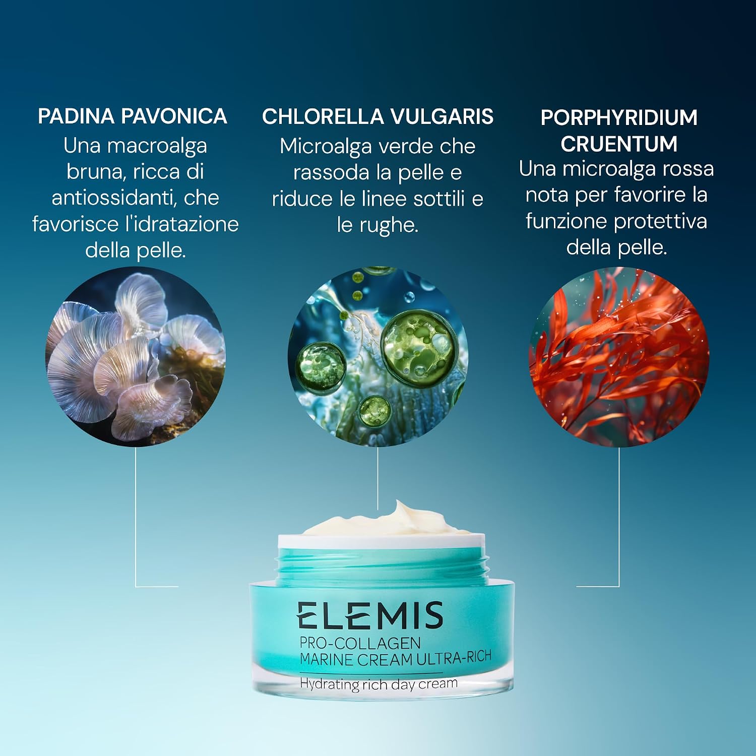 Detalle de Elemis Pro-Collagen Marine Cream Ultra-Rich: crema viso giorno anti-age idratante, 50 ml