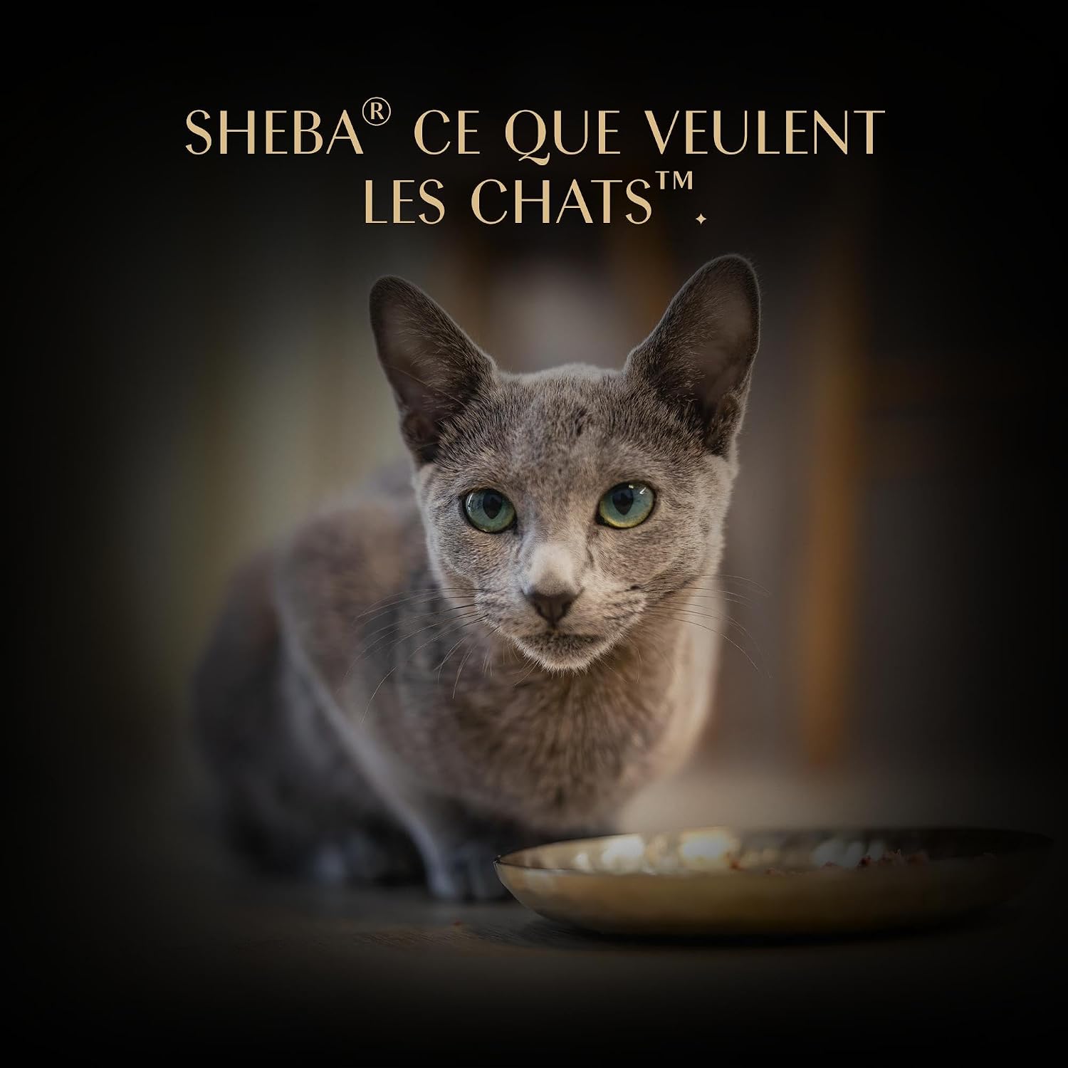 Thumbnail 6 de SHEBA Filets Nourriture pour Chat Adulte au Poulet en Sauce — 32 barquettes de 60 g