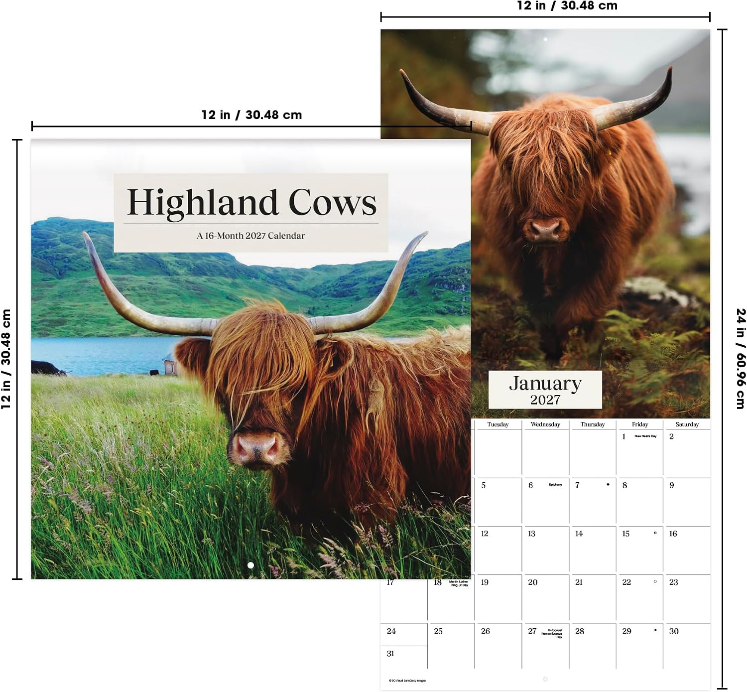 Thumbnail 6 de 2027 Highland Cows Wall Calendar, 12" x 12" with 13 Images