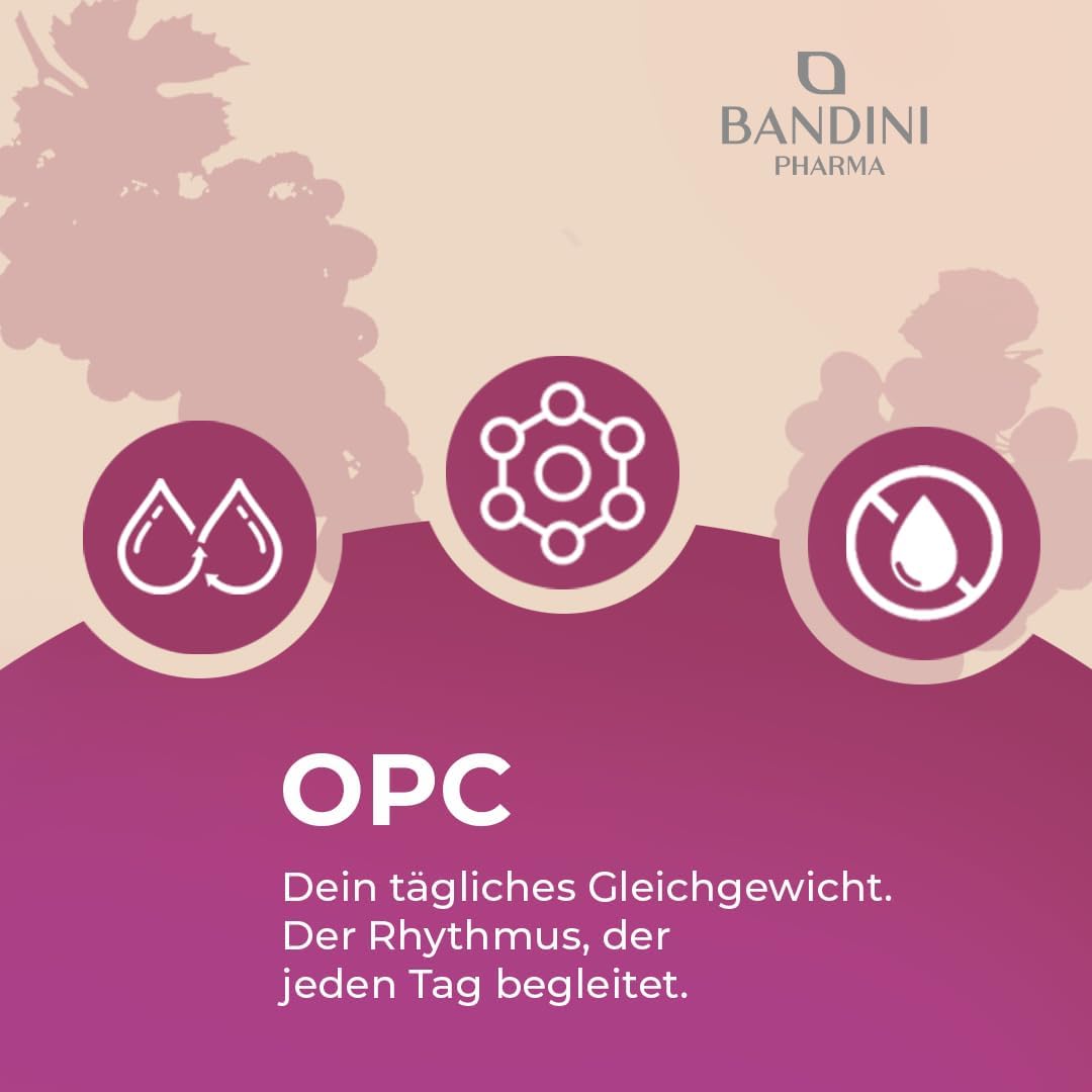 Thumbnail 5 de Bandini OPC Traubenkernextrakt 365 Kapseln mit 1076 mg Dosierung 💊