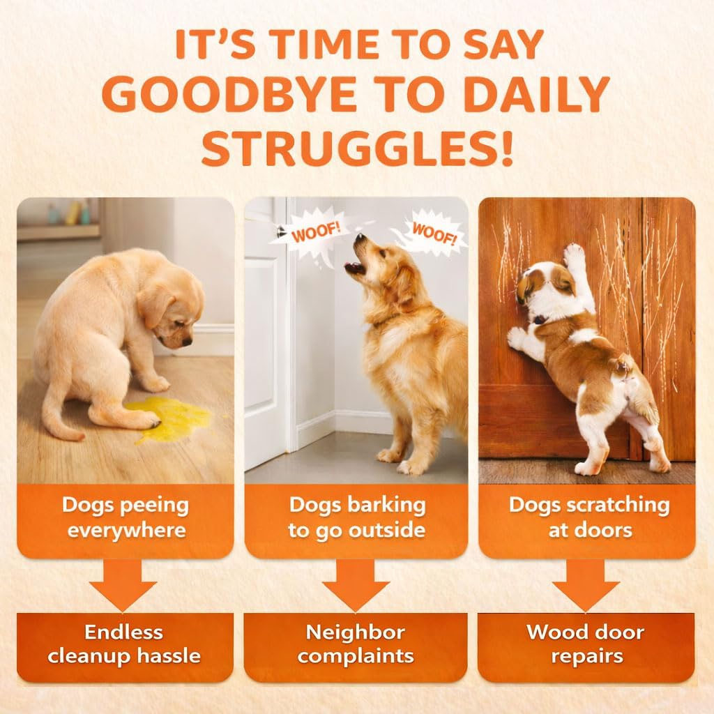 Detalle 2 de ChunHee Recordable Dog Doorbell for Toilet Training