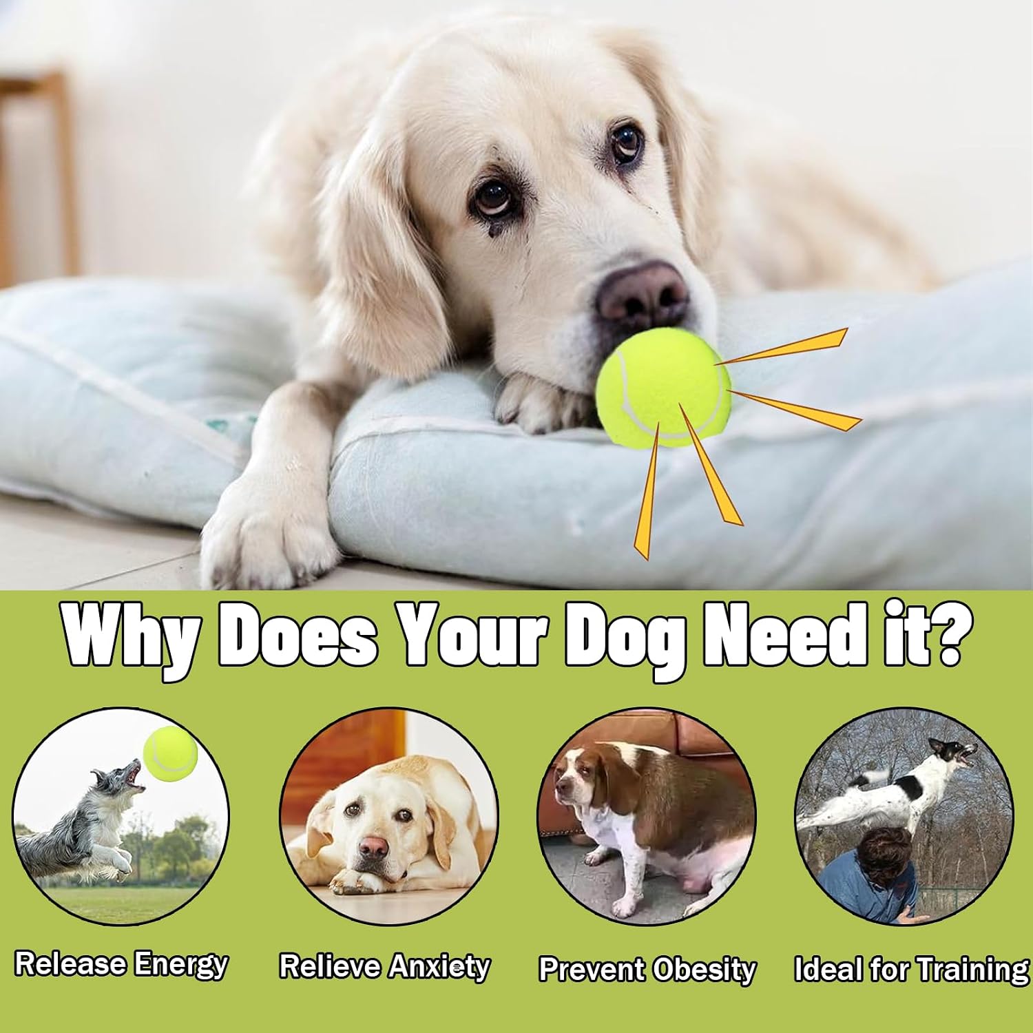 Detalle de Magicorange Dog Tennis Balls, 2.5-Inch