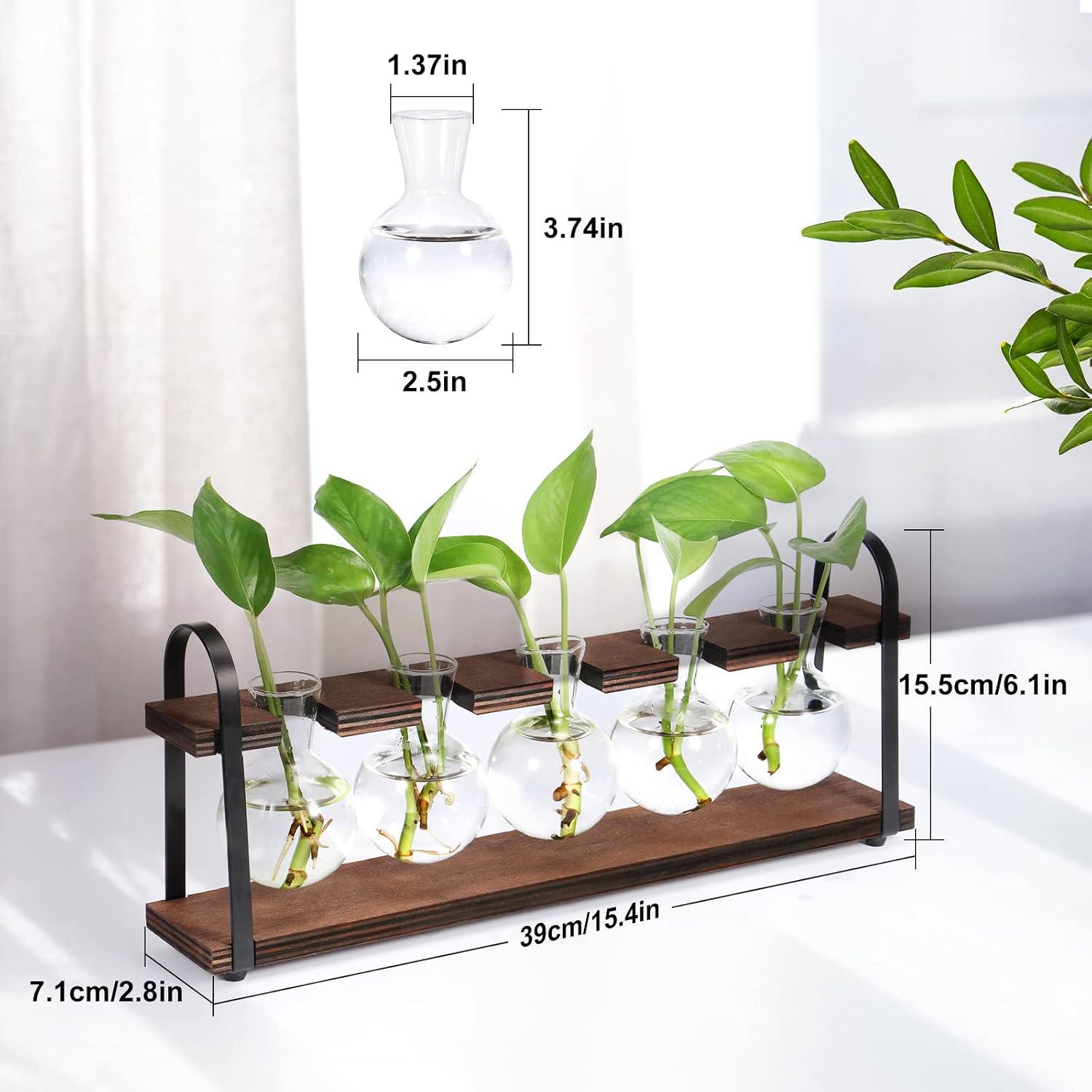 Detalle 2 de THYGIFTREE 4300 Five-Bulb Plant Propagation Station with Glass Vases