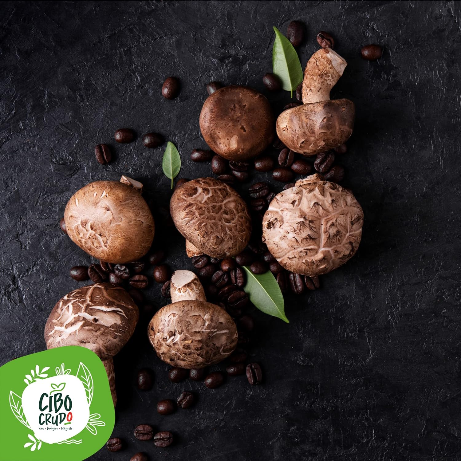 Thumbnail 5 de Fungo Shiitake in Polvere Biologica 150g (crudo, essiccato a basse temperature)
