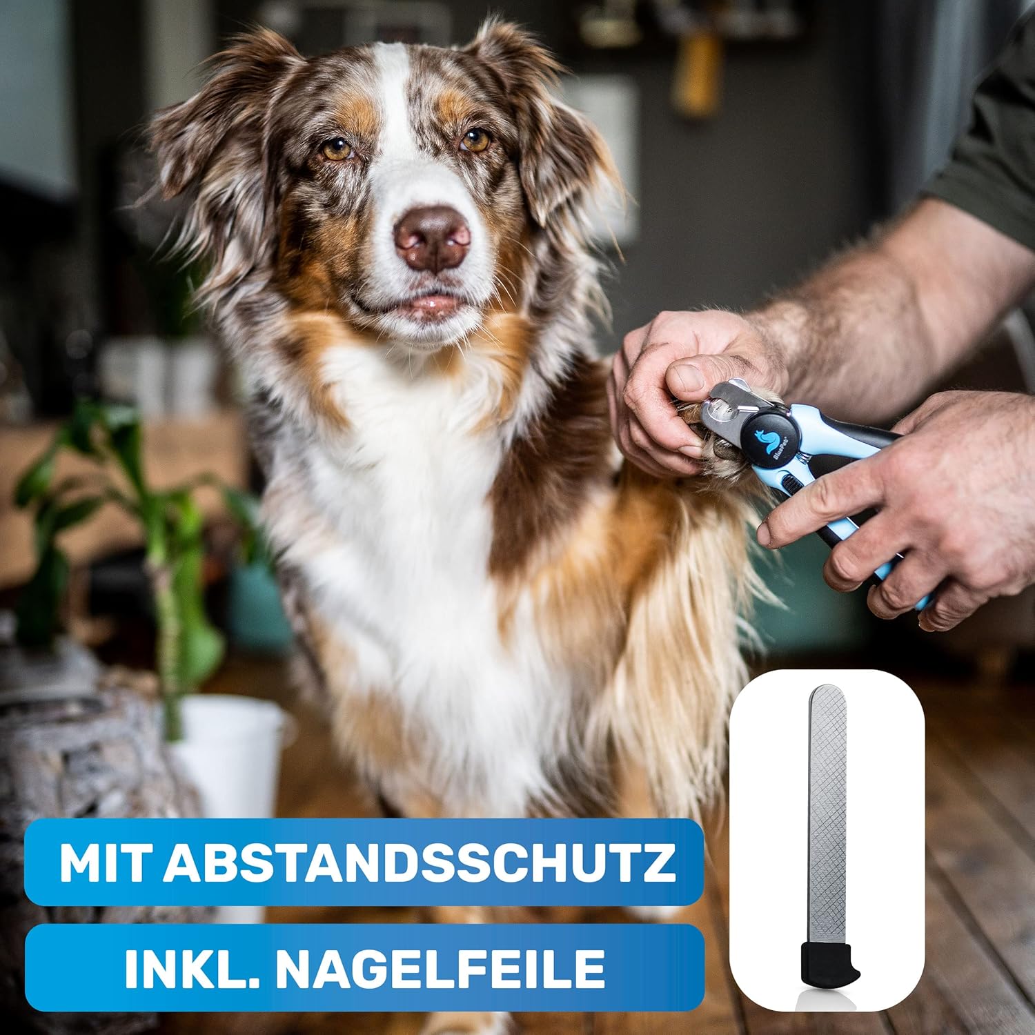 Thumbnail 5 de BluePet Krallenschere mit Schutz & Abstandshalter für kleine Hunde und Katzen