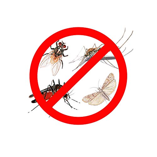 Detalle 2 de Protect Home Insecticida persistente para exteriores: defensa eficaz contra mosquitos en balcones, terrazas y jardines