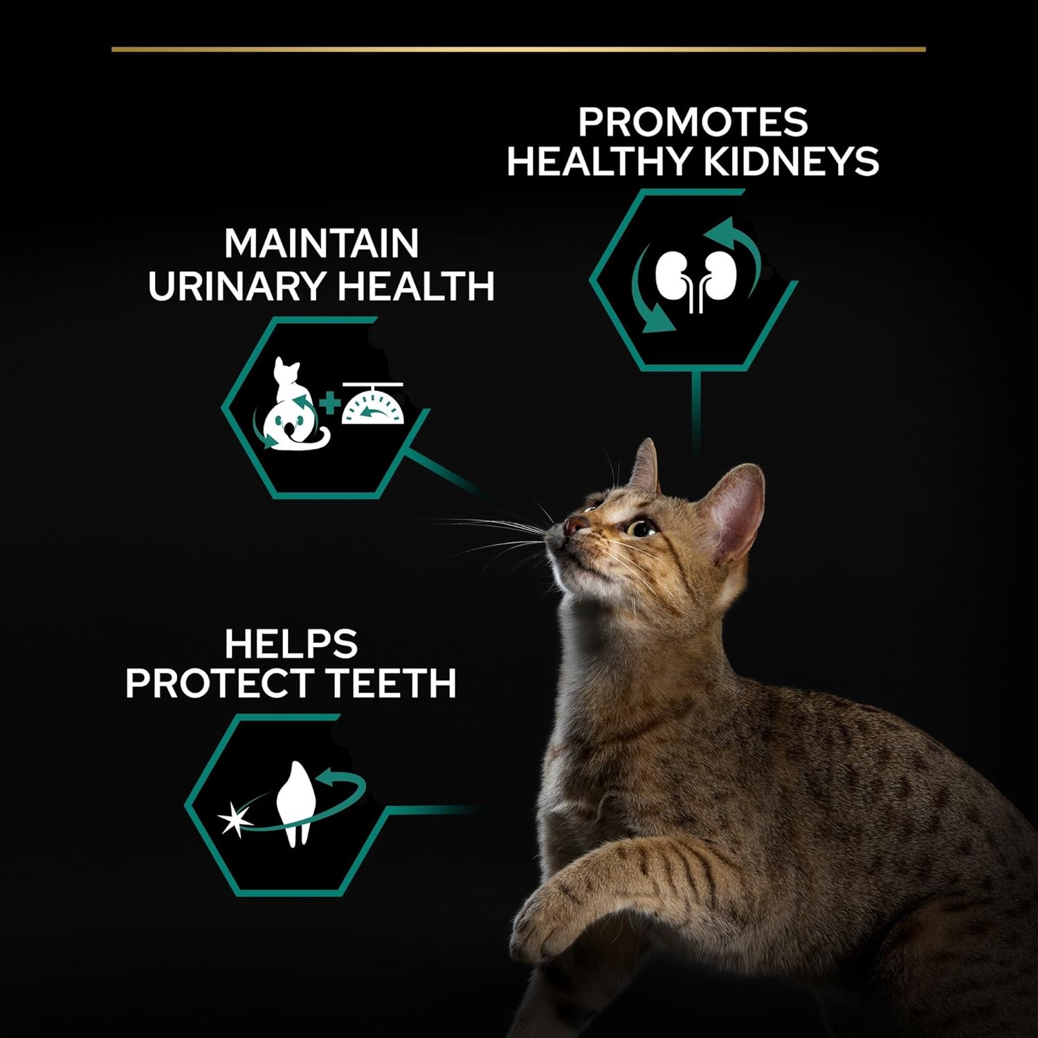 Detalle 2 de Purina Pro Plan Sterilised Renal Plus Crocchette Gatti Adulti Ricco in Tacchino 3kg