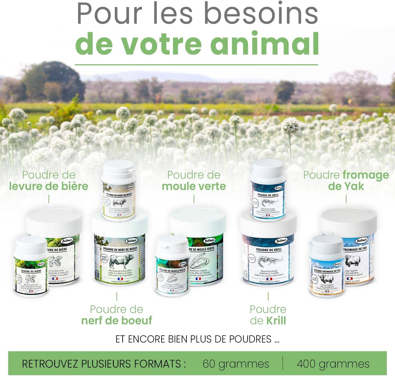 Detalle 1 de BUBIMEX Poudre de Moules Vertes – Bien-Être Articulaire pour chien et chat (60 g)