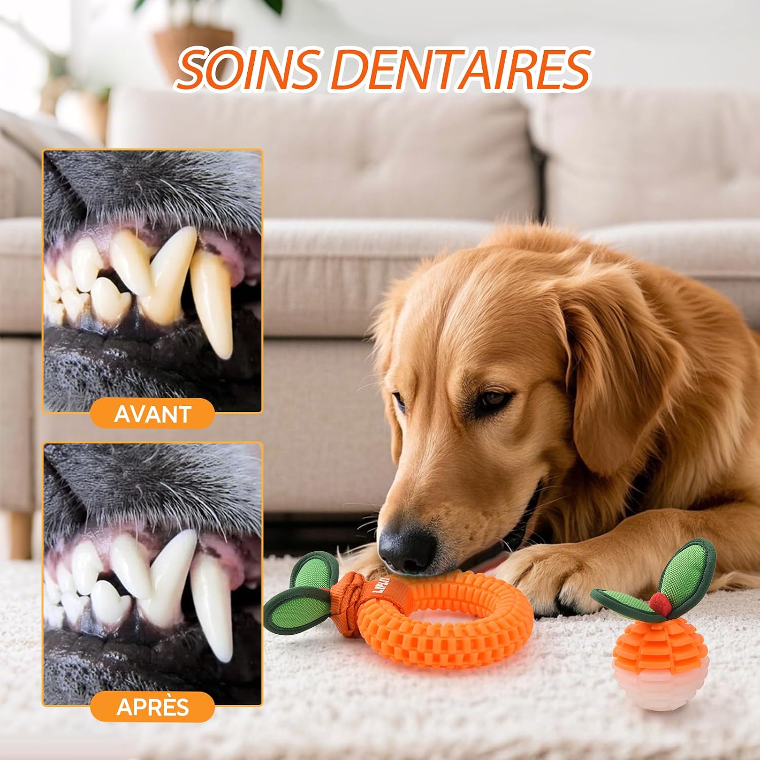Detalle 2 de LIFLIX Lot de 2 Jouets Résistants à mâcher pour Chiens — TPU, nettoyage dentaire et dentition des chiots (petite et moyenne taille)