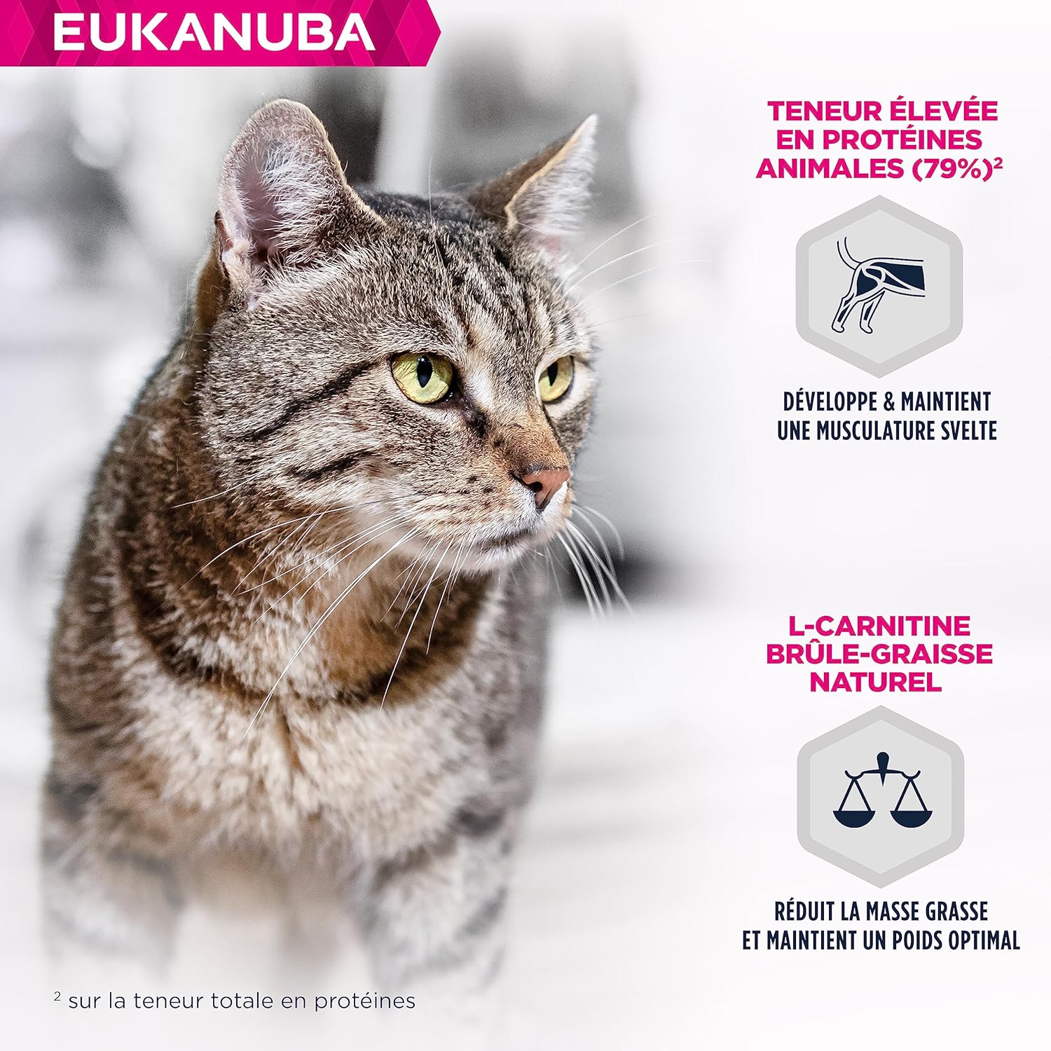 Thumbnail 2 de EUKANUBA Grain Free Croquettes pour Chat Senior au saumon – 10 kg