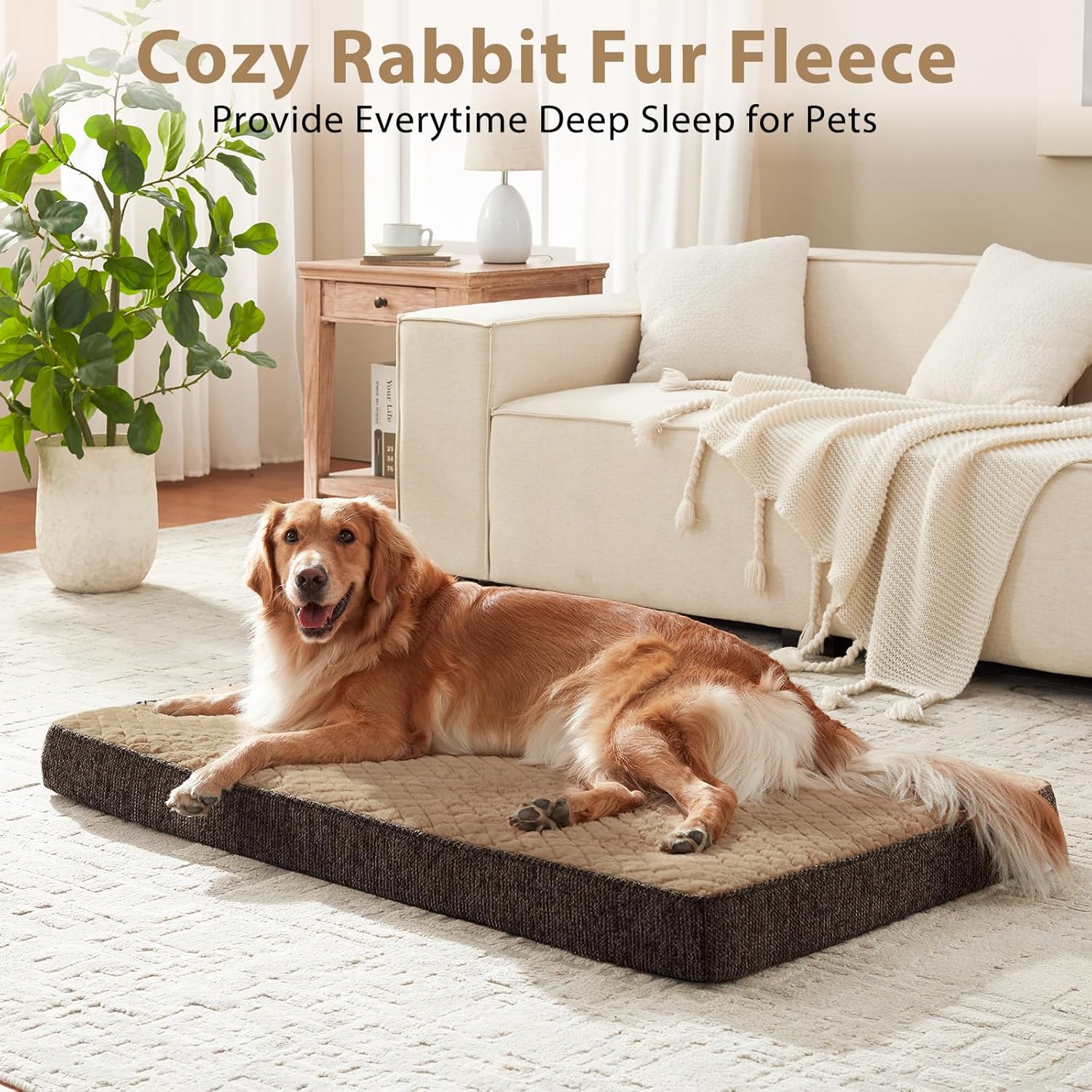 Thumbnail 1 de JOEJOY Orthopedic Dog Bed (Medium) – Washable, Egg-Crate Memory Foam 74×46×7.5cm