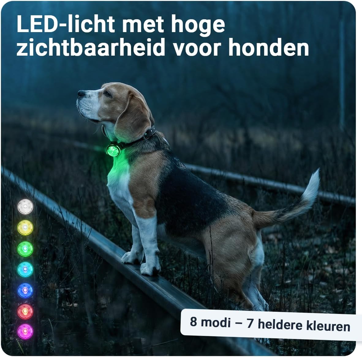 Thumbnail 1 de PAJ Light Mini Clip LED 2-pack: waterdicht, 7 kleuren en USB-C