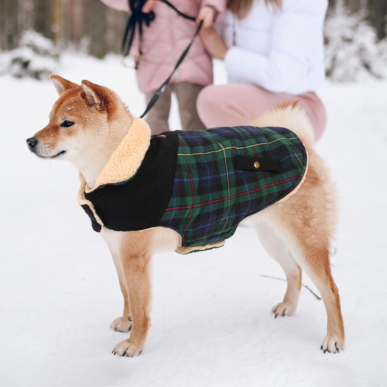 Detalle 2 de CITÉTOILE Dog Coat – Warm Fleece-Lined Dog Jacket (Green, XS) for Small & Medium Dogs