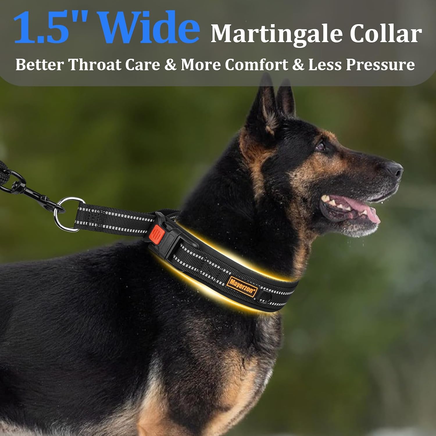 Thumbnail 6 de Mayerzon Martingale Dog Collar 1.5-inch