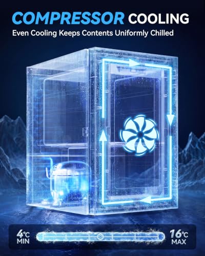 Detalle 1 de TRIUMPHKEY 18L Beverage Cooler Mini Fridge with LED Lighting