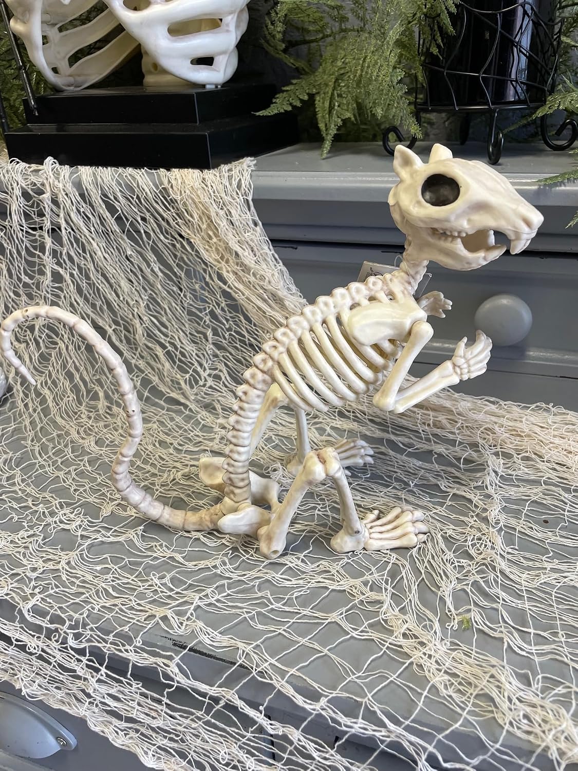 Thumbnail 4 de Crazy Bonez Skeleton Squirrel 7-inch