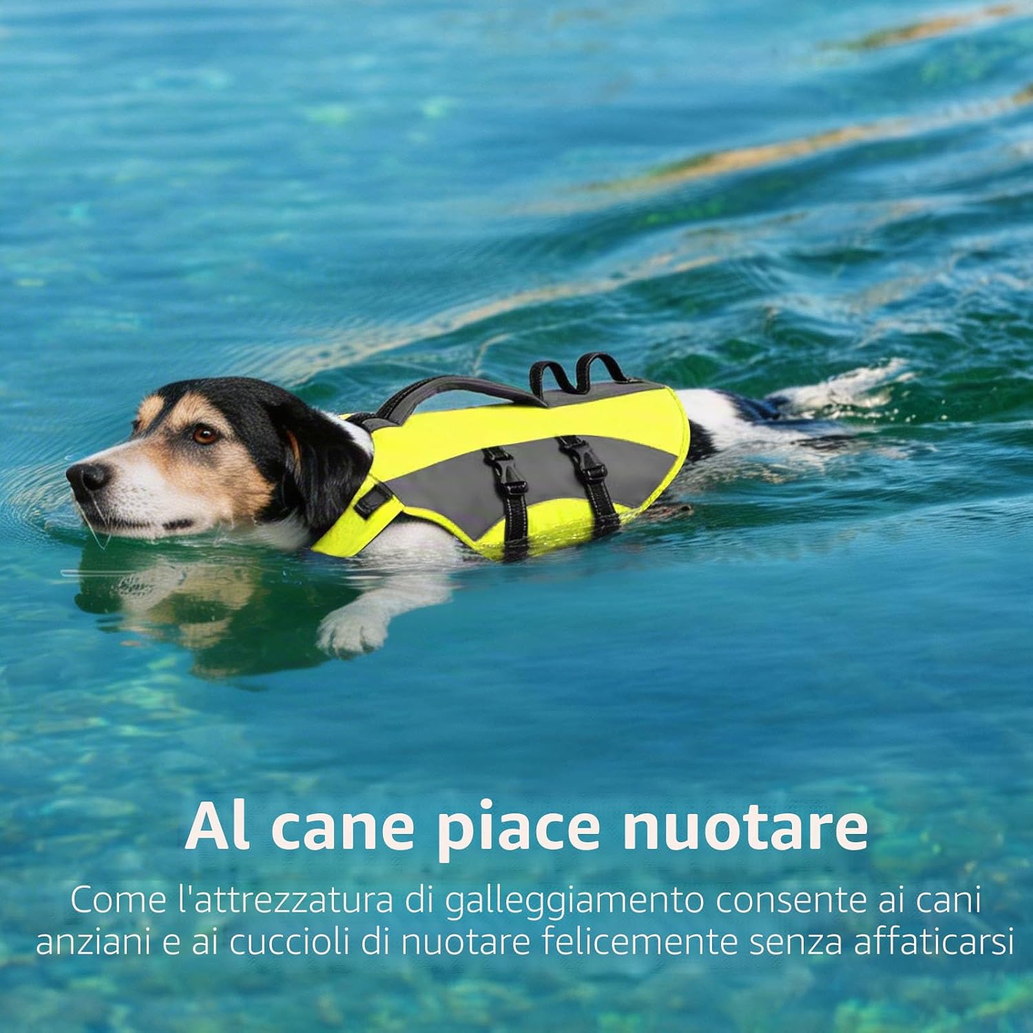 Thumbnail 4 de CITÉTOILE Salvagente Cane Regolabile Ripstop XL – Giubbotto di Salvataggio Verde per Cani
