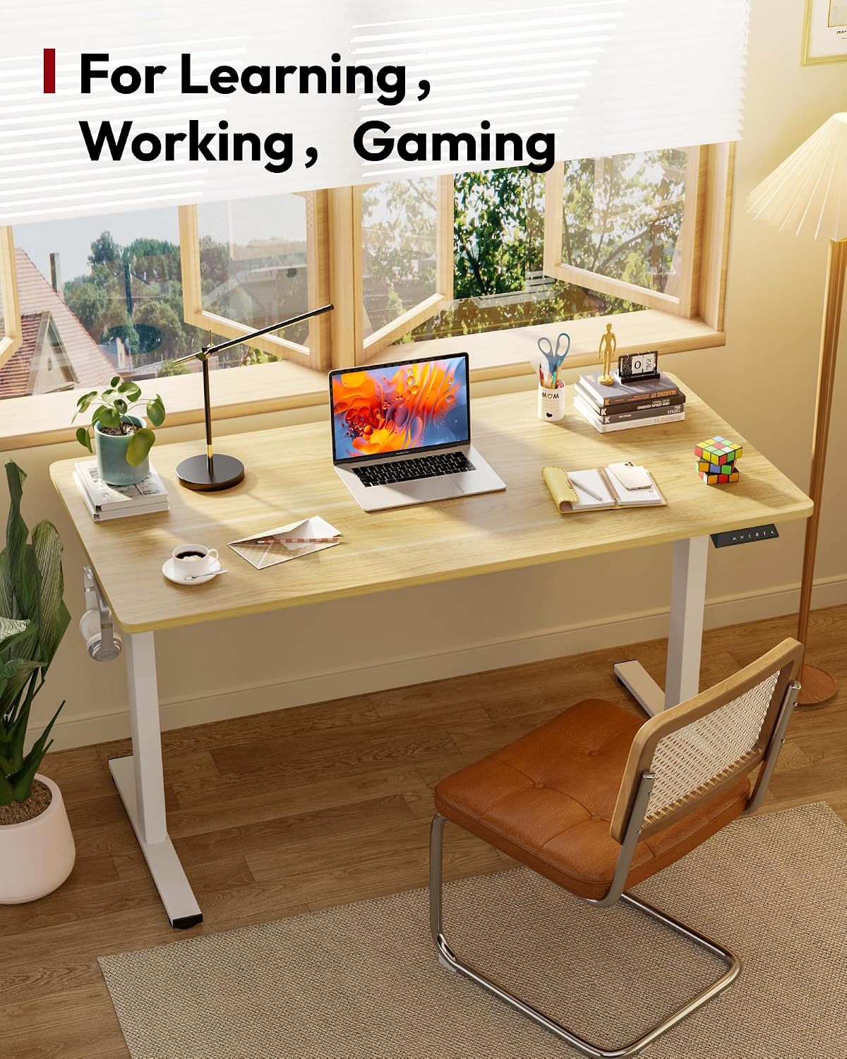 Detalle de SANODESK Standing Desk, 48 x 30 Inches